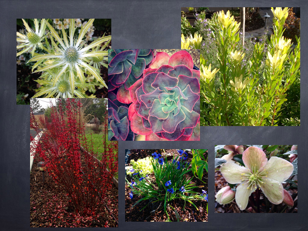 Jan Martin - Landscaping Extract.001