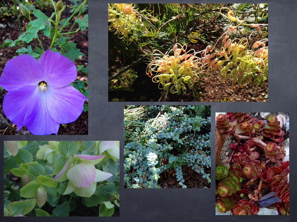 Jan Martin - Landscaping Extract.001