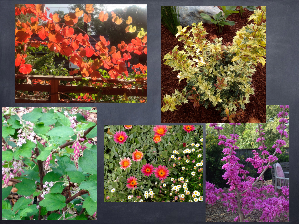 Jan Martin - Landscaping Extract.002